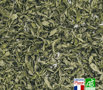 Infusion verveine menthe bio en vrac