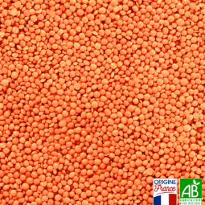 Lentilles corail bio en vrac