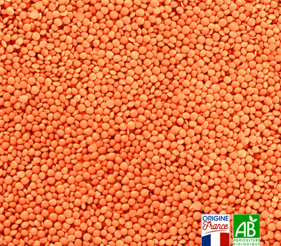 Lentilles corail bio en vrac