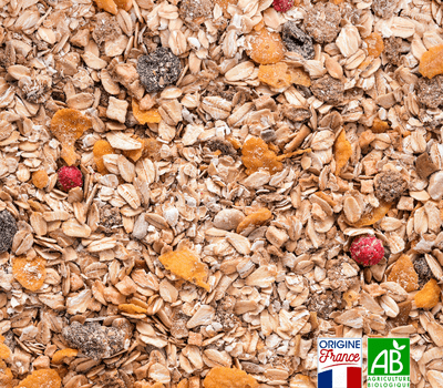 Muesli aux fruits bio en vrac